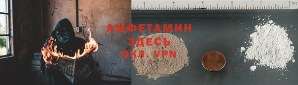 твердый Арсеньев
