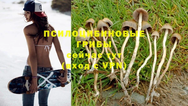 Альфа ПВП Армянск